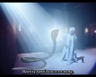 00009.mp4