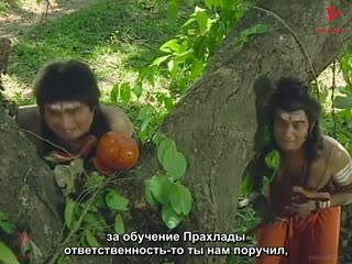 00076.mp4