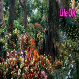 00198.mp4