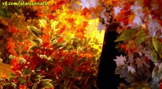00219.mp4