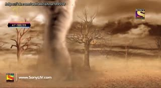 0141.mp4