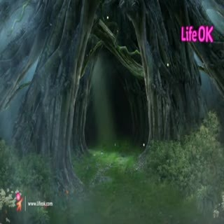 00245.mp4