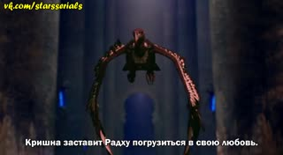 00239.mp4