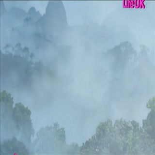 00033.mp4