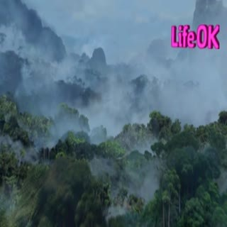 00177.mp4