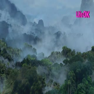 00114.mp4