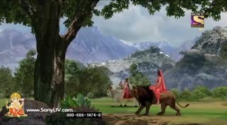 0063.mp4