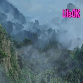 00184.mp4