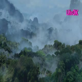 00115.mp4