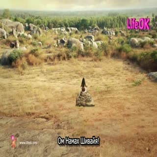 00251.mp4