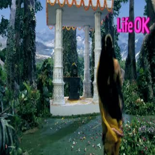 00151.mp4