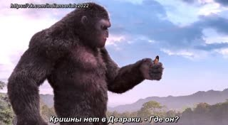 00879.mp4