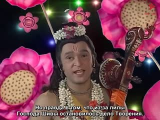 00037.mp4