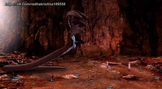 00612.mp4