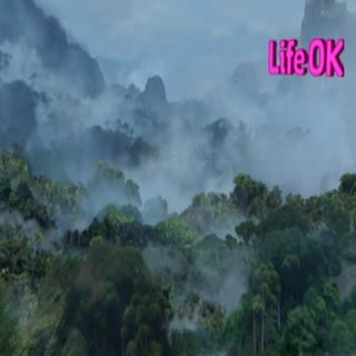00175.mp4