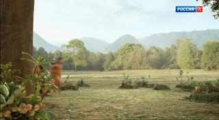 SKR_Condor_RusK_155.mp4