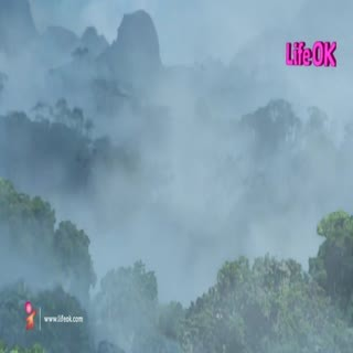 00076.mp4