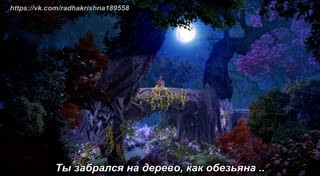 00602.mp4
