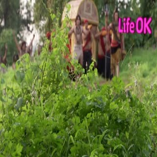 00197.mp4