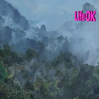 00180.mp4