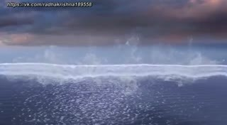 00554.mp4
