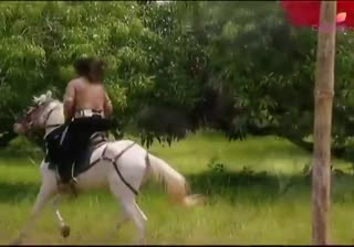 00031.mp4