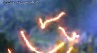 00549.mp4