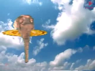00047.mp4