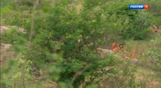 SKR_Condor_RusK_195.mp4