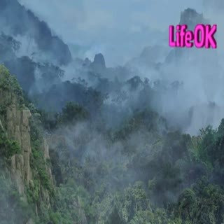 00187.mp4