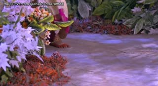 00594.mp4